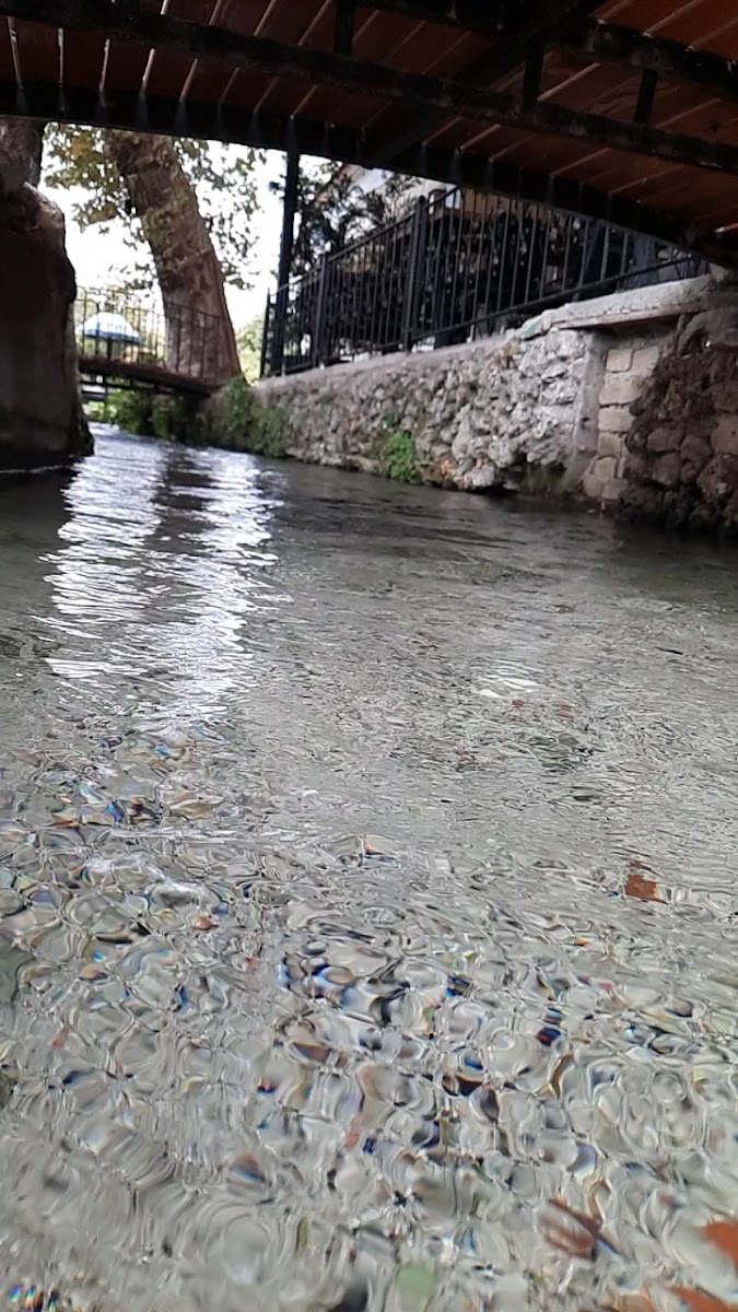 Balıkçı Niyazi — fotoğraf 3