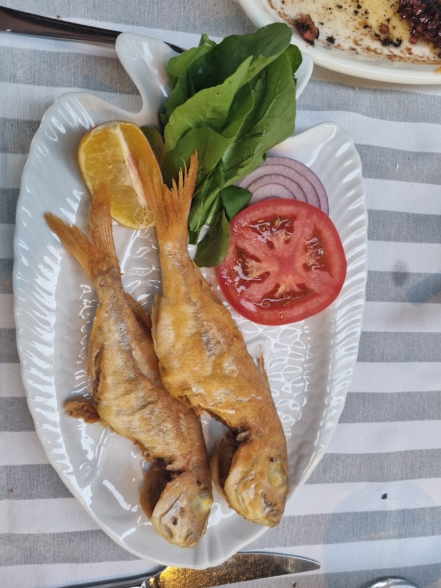 Balikcim The Fisherman — photo 3
