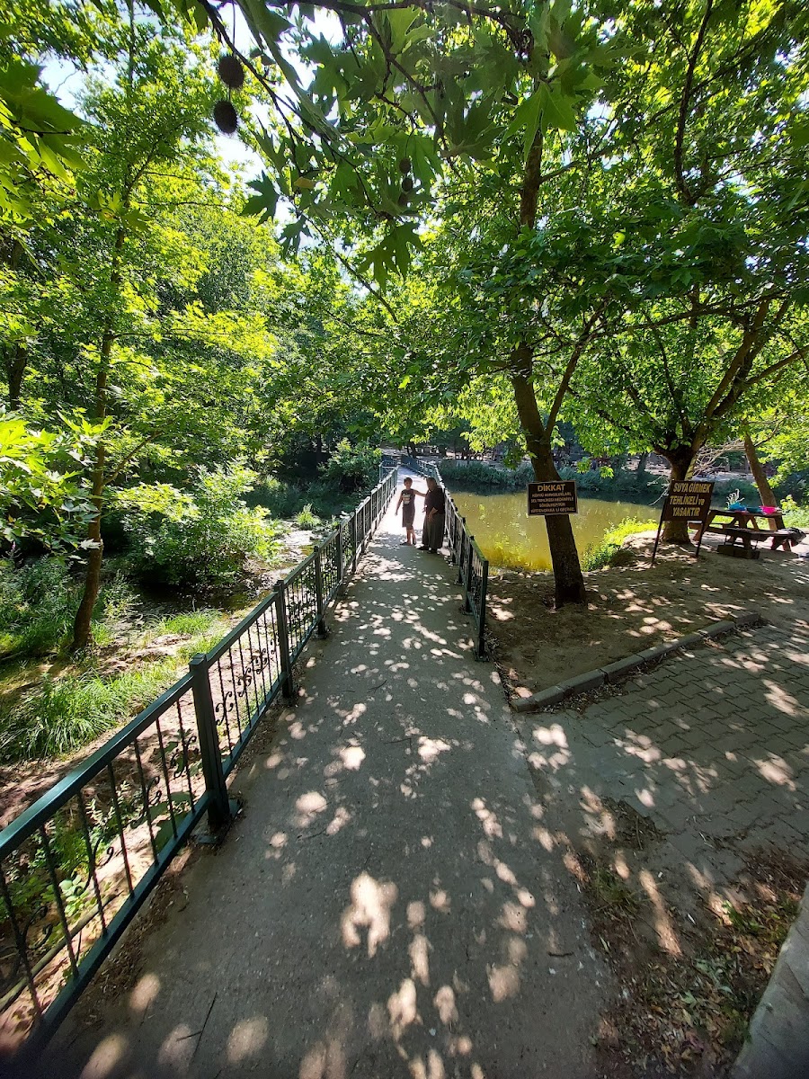 Balıkesir Piknik Ve Mesire Alanı