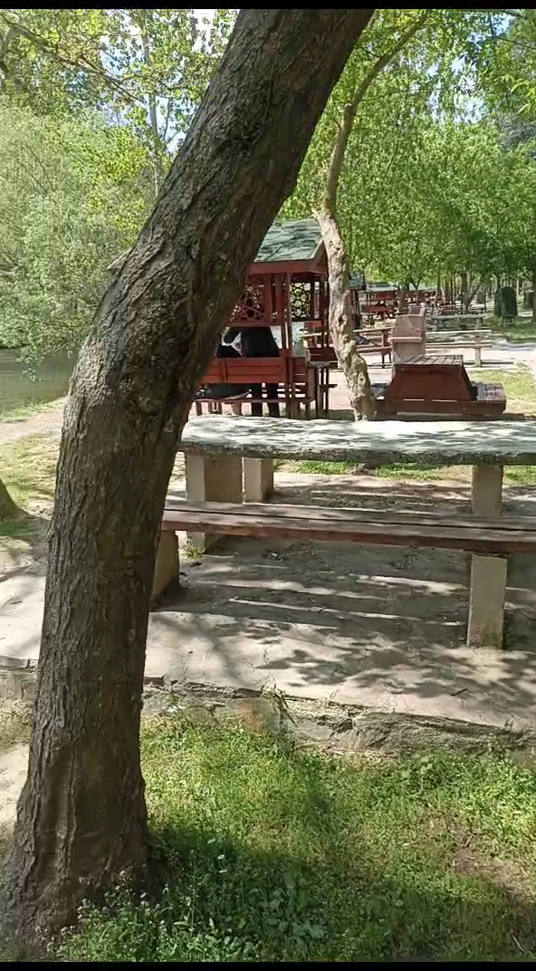 Balıkesir Piknik Ve Mesire Alanı — fotoğraf 2