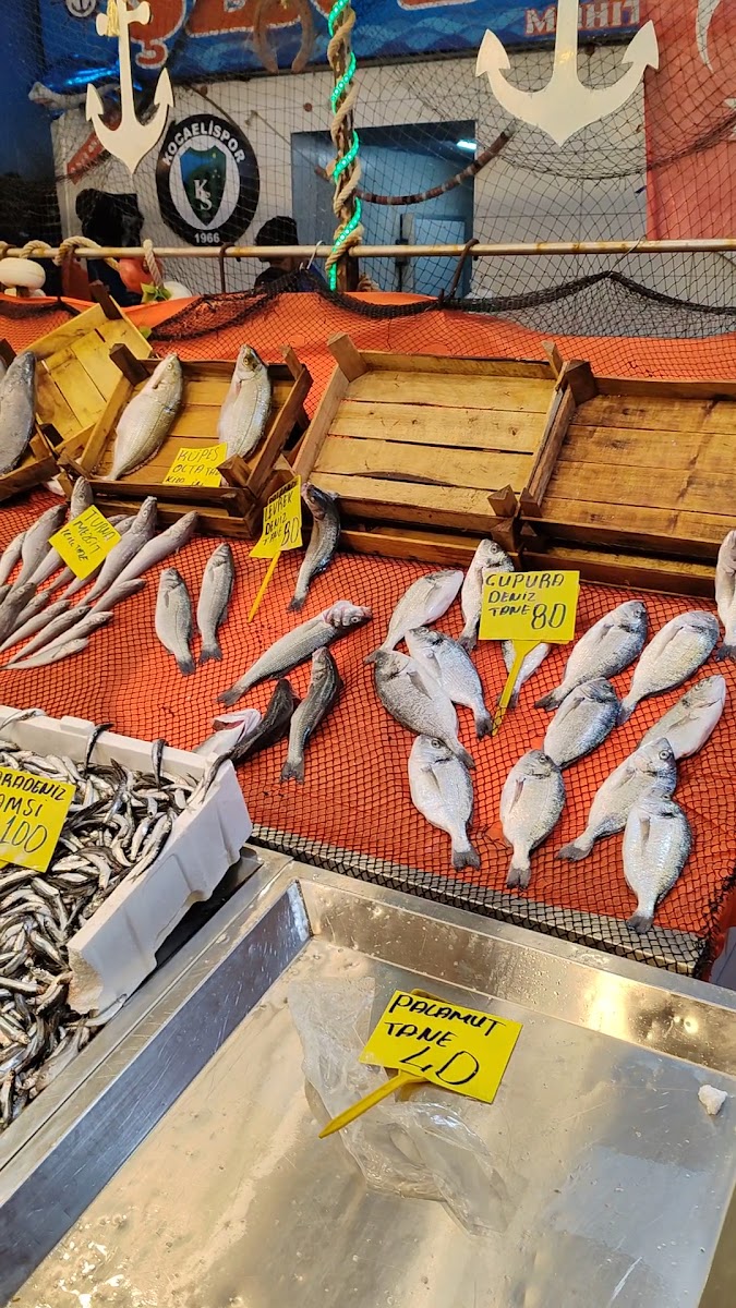 Balıkhan — fotoğraf 2