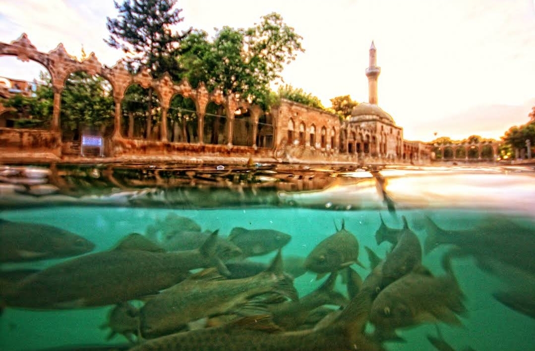 Balıklıgöl — fotoğraf
