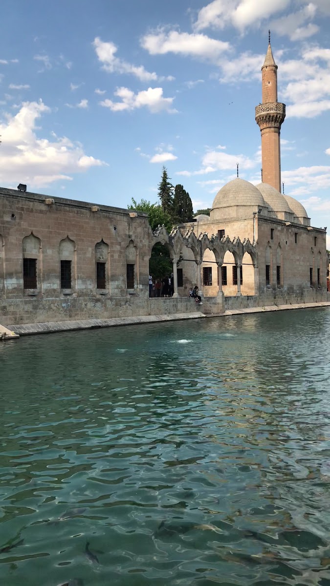 Balıklıgöl — fotoğraf 3