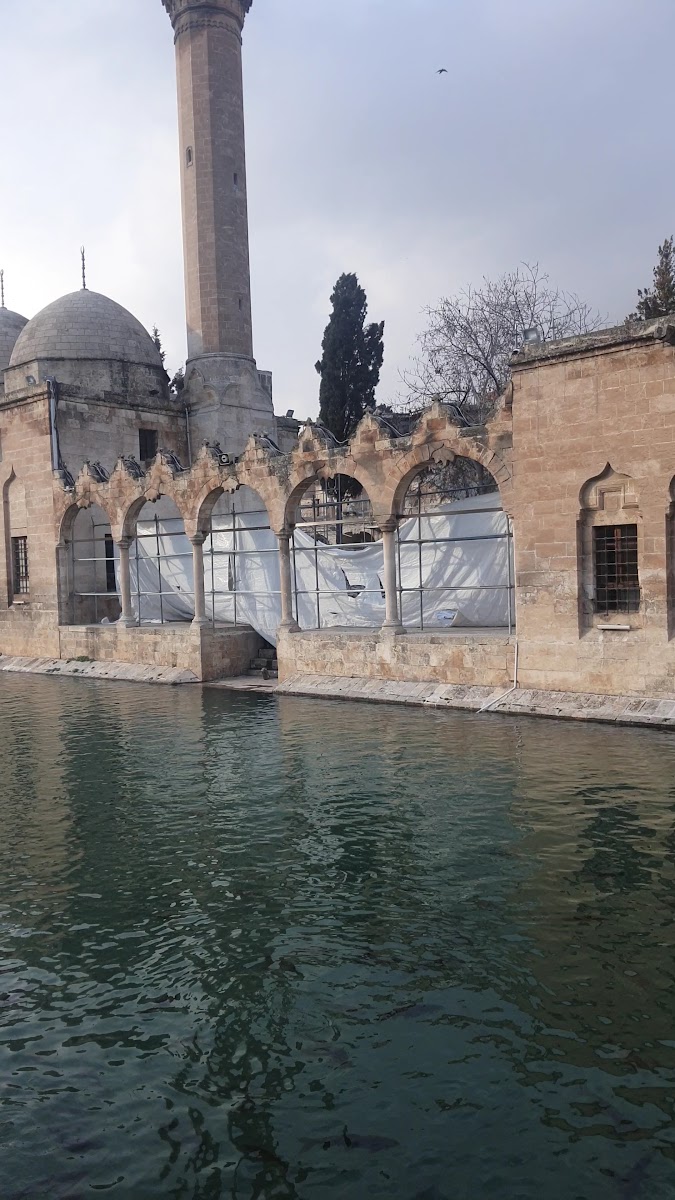 Balıklıgöl — fotoğraf 4