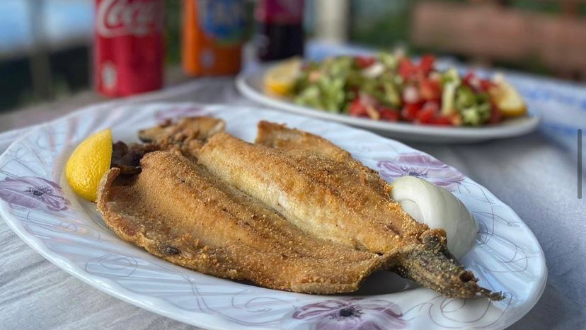 Balkaya Alabalık Çiftliği — fotoğraf 1