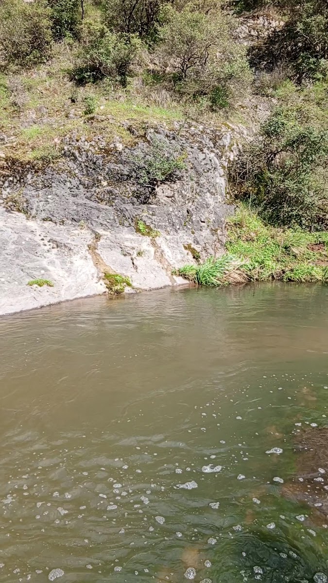 Ballikayalar Kanyonu Kamp Bolgesi — fotoğraf 2