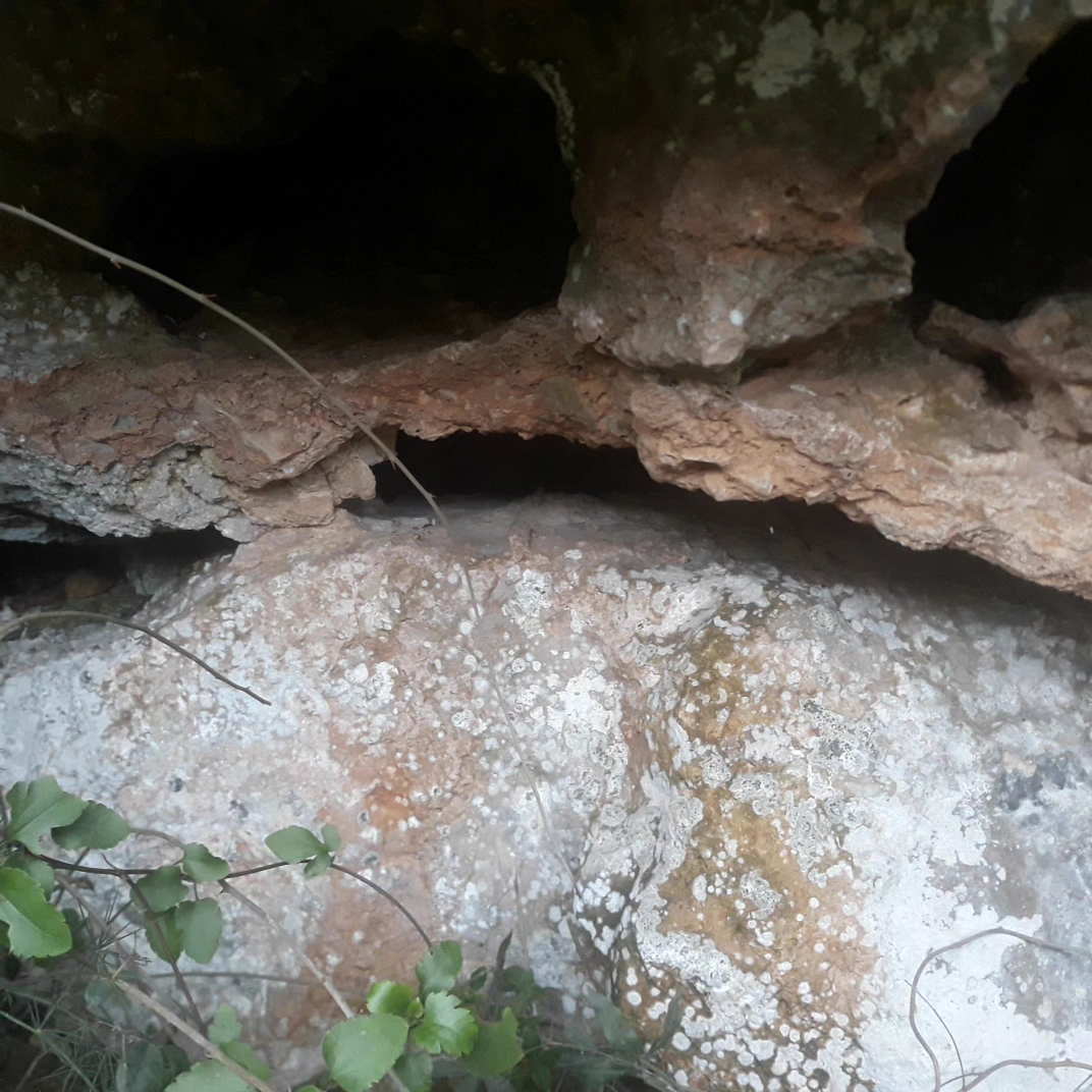 Ballikayalar Kanyonu Kamp Bolgesi — fotoğraf 3
