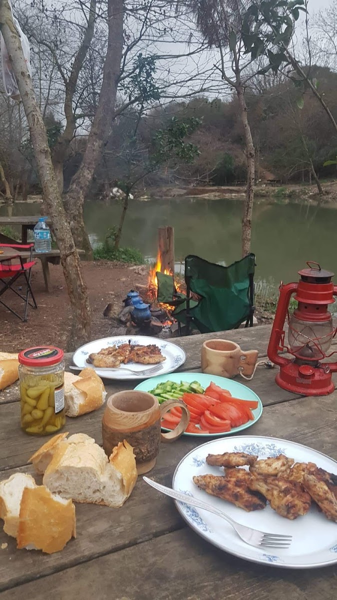 Ballikayalar Kanyonu Kamp Bolgesi — fotoğraf 5