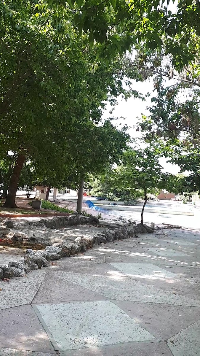 Barış Ve Özgürlük Parkı — fotoğraf 3