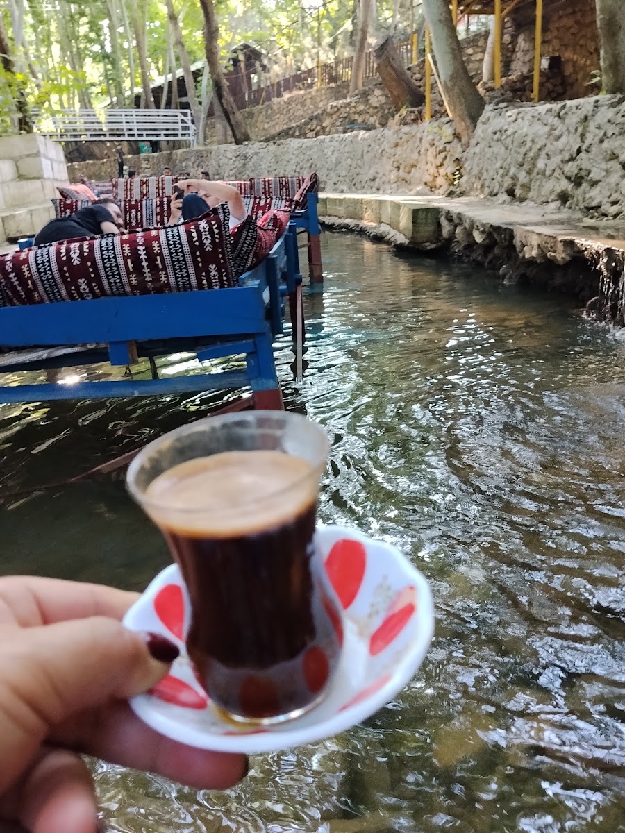 Barış’ın Yeri Cafe Restaurant Dinlenme Tesisi — photo 2