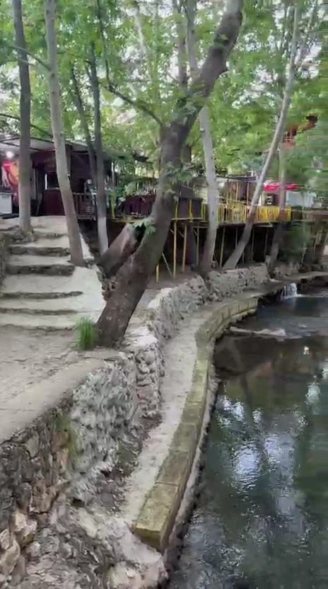 Barış’ın Yeri Cafe Restaurant Dinlenme Tesisi — photo 3