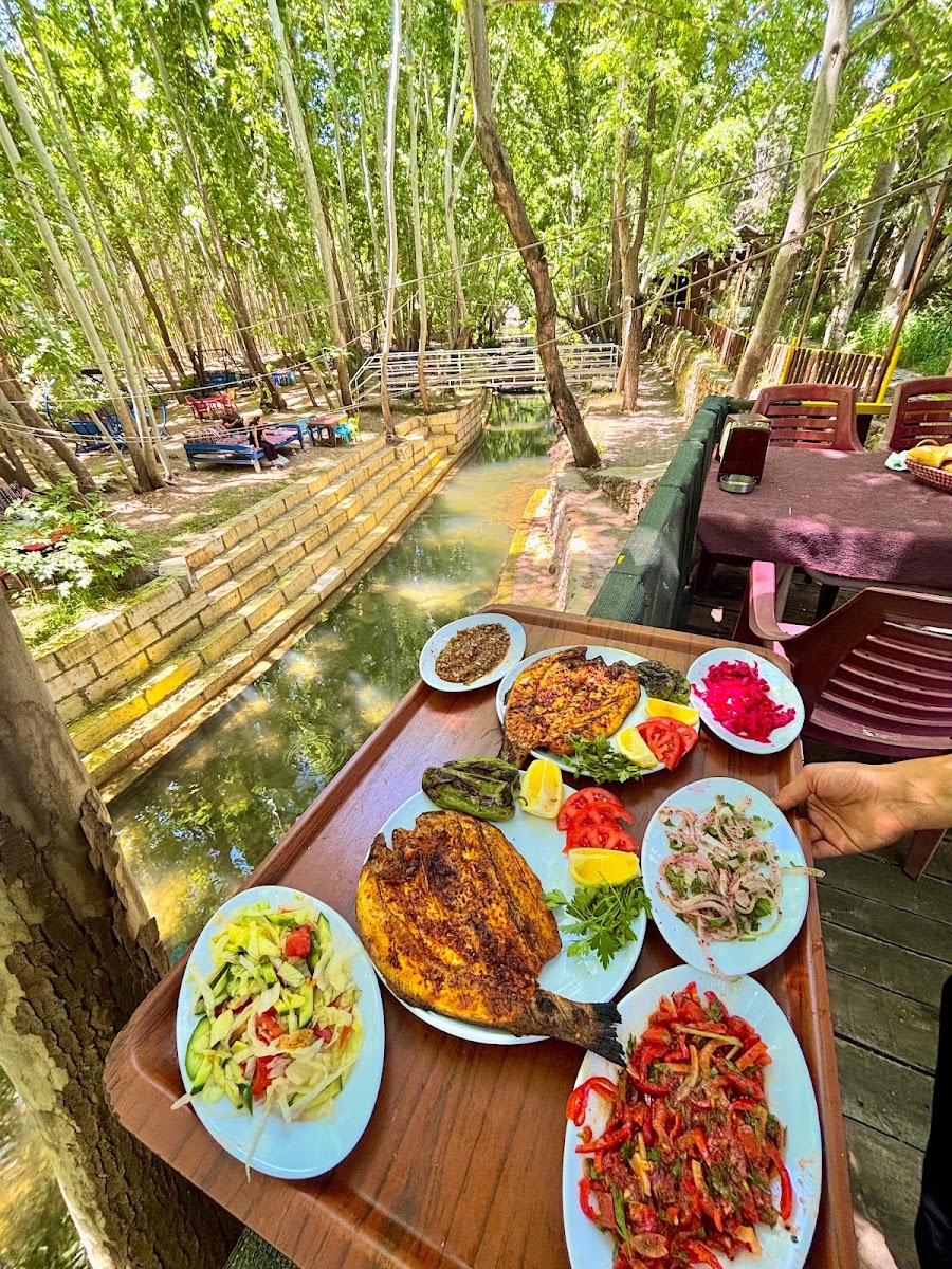 Barış’ın Yeri Cafe Restaurant Dinlenme Tesisi — photo 4