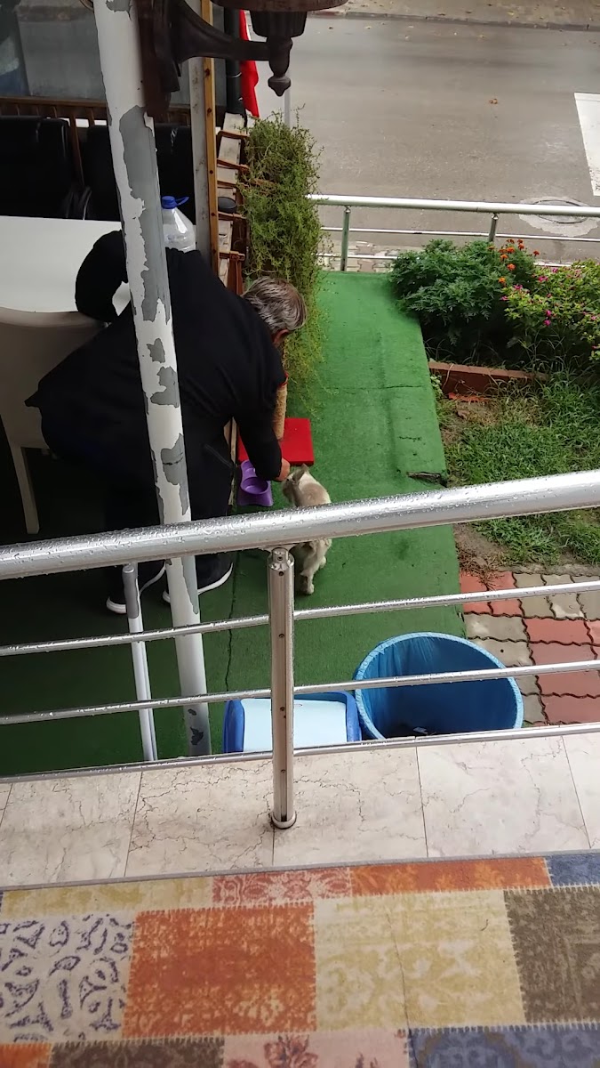 Bartın Güzelce Pansiyon & Konaklama — fotoğraf 3