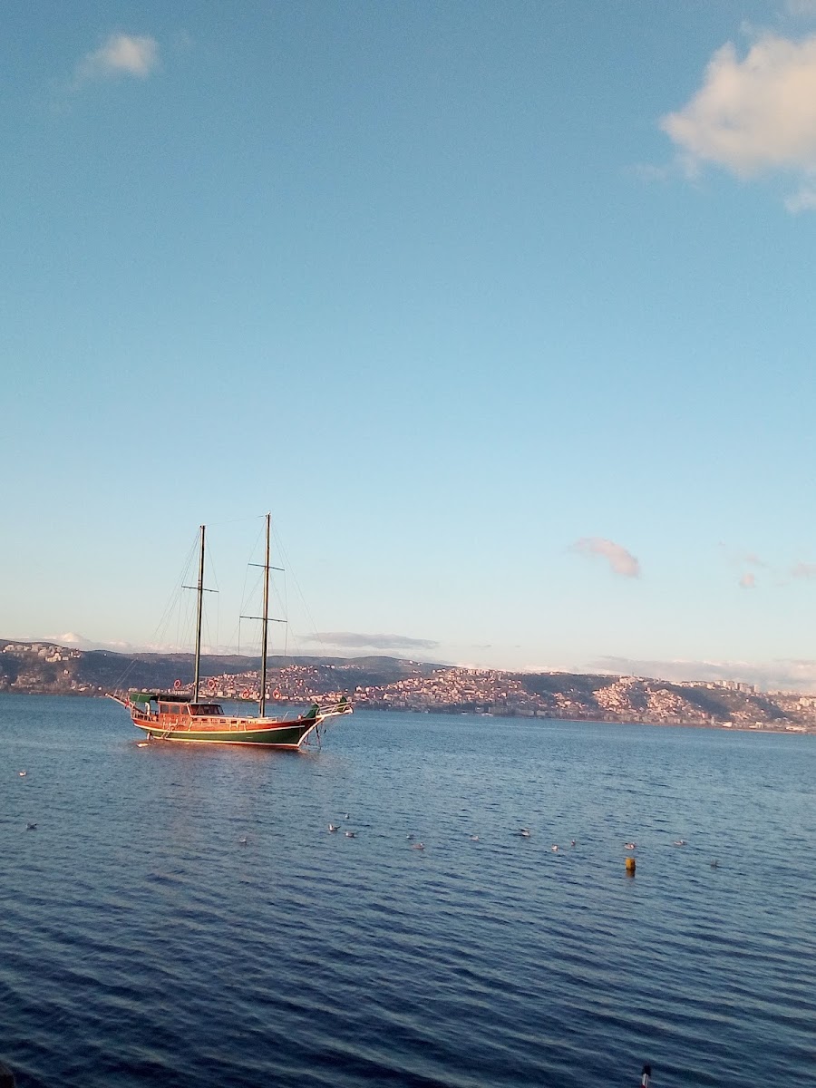 Sahil — fotoğraf 2