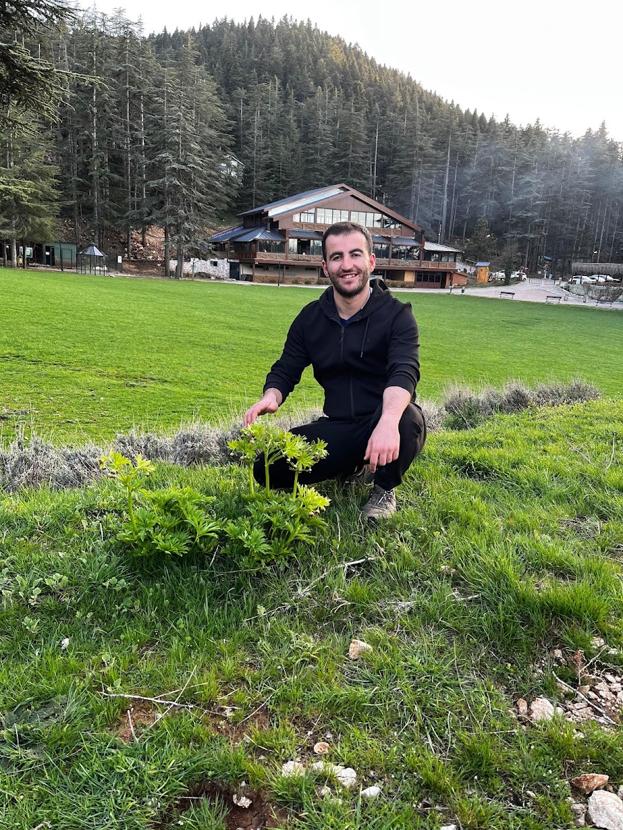 Başkonuş Yaylası — fotoğraf 2
