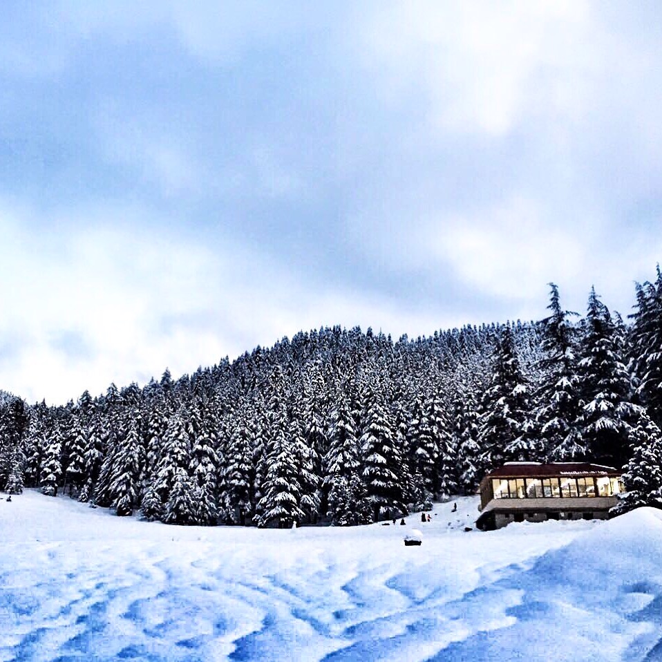 Başkonuş Yaylası — fotoğraf 4