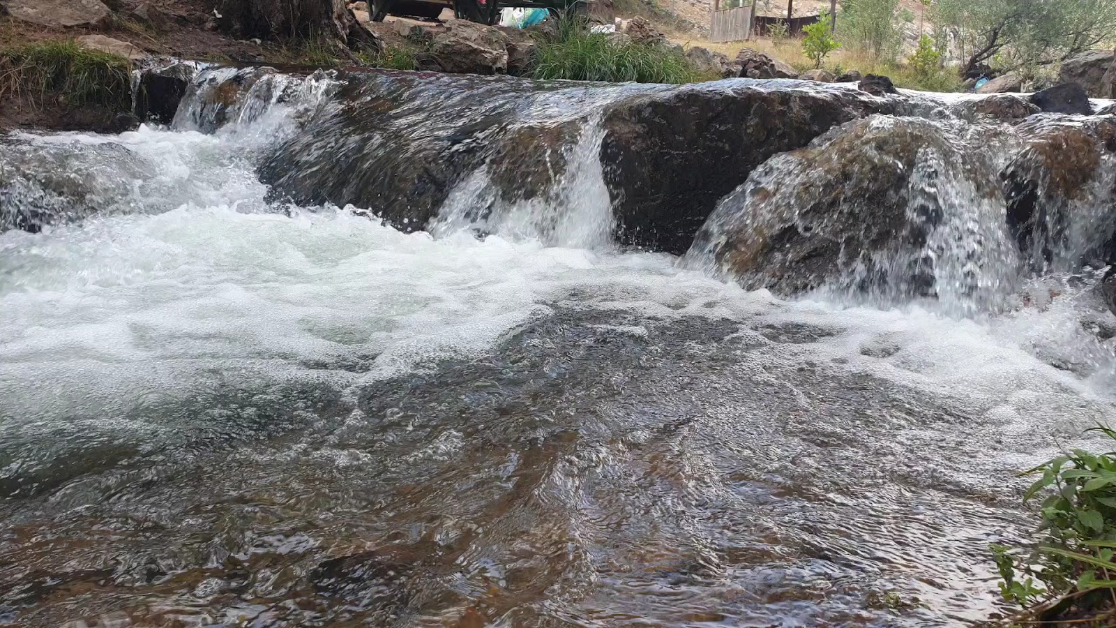 Başpınar Tabiat Parkı Kamp ve Piknik Alanı — fotoğraf 3