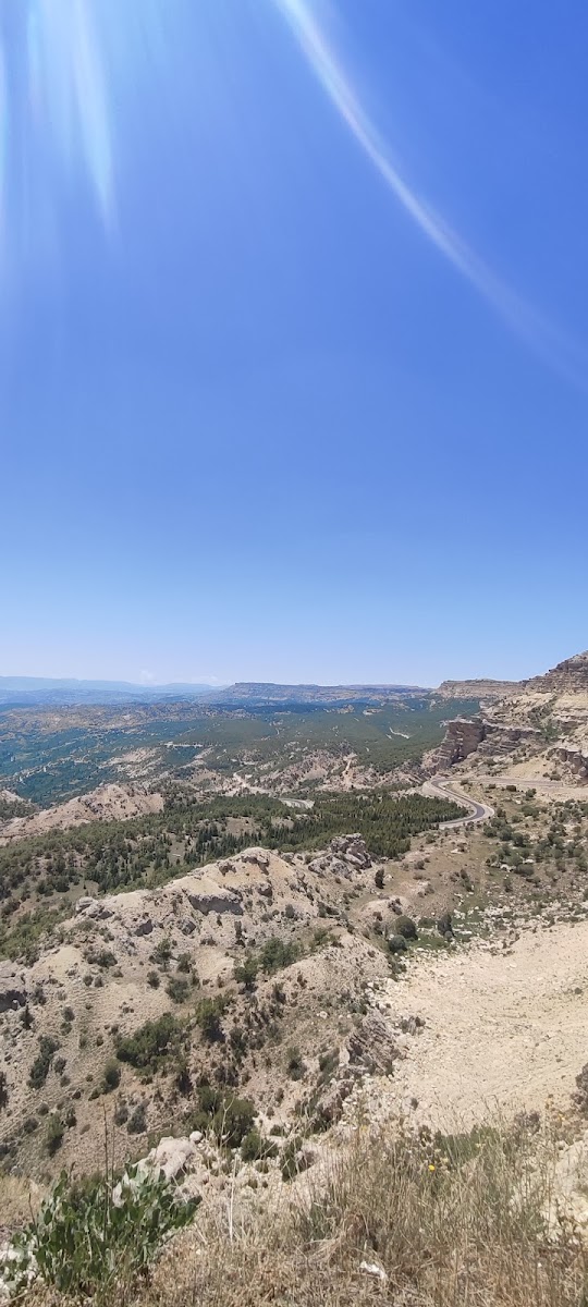 Başyayla Bakış — photo 2
