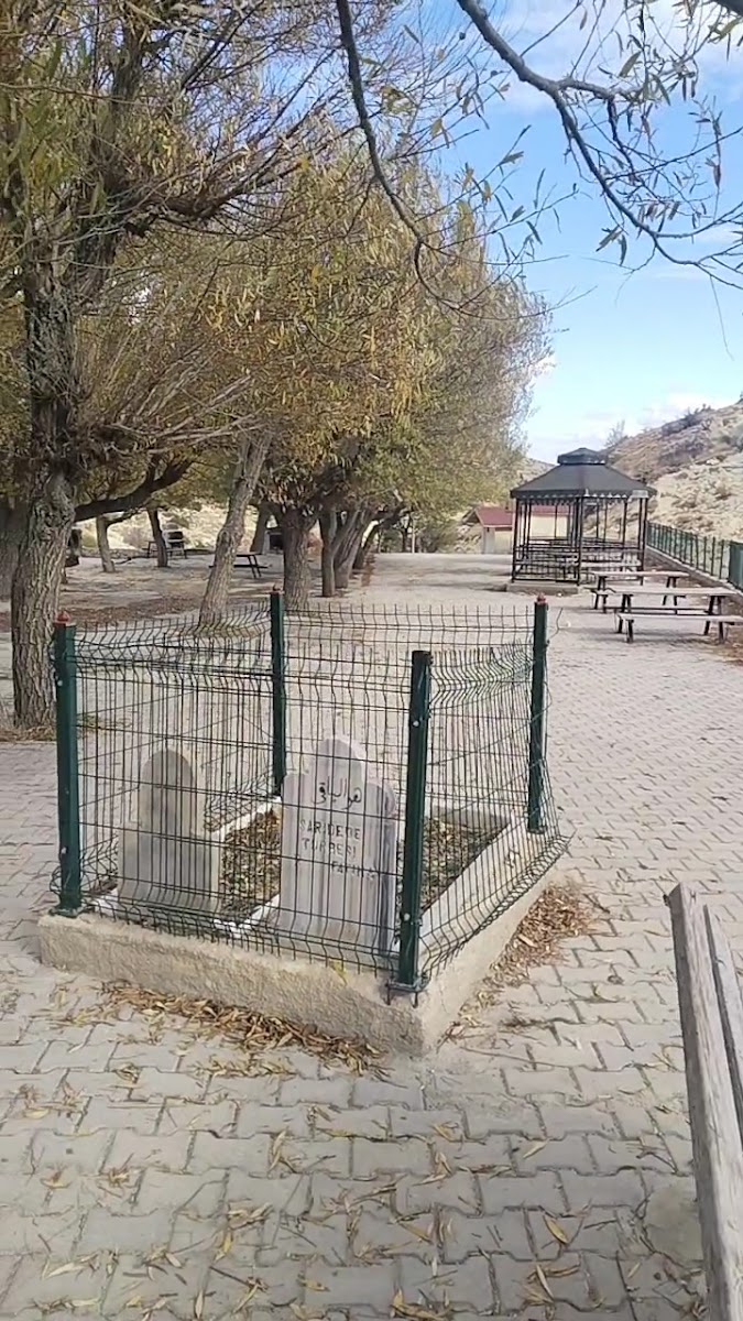 Başyayla Bakış — photo 3