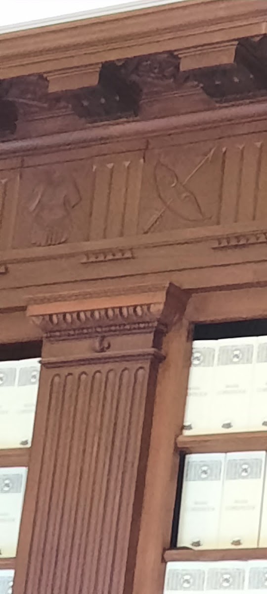 Batı Hint Adaları Genel Arşivi — photo 3