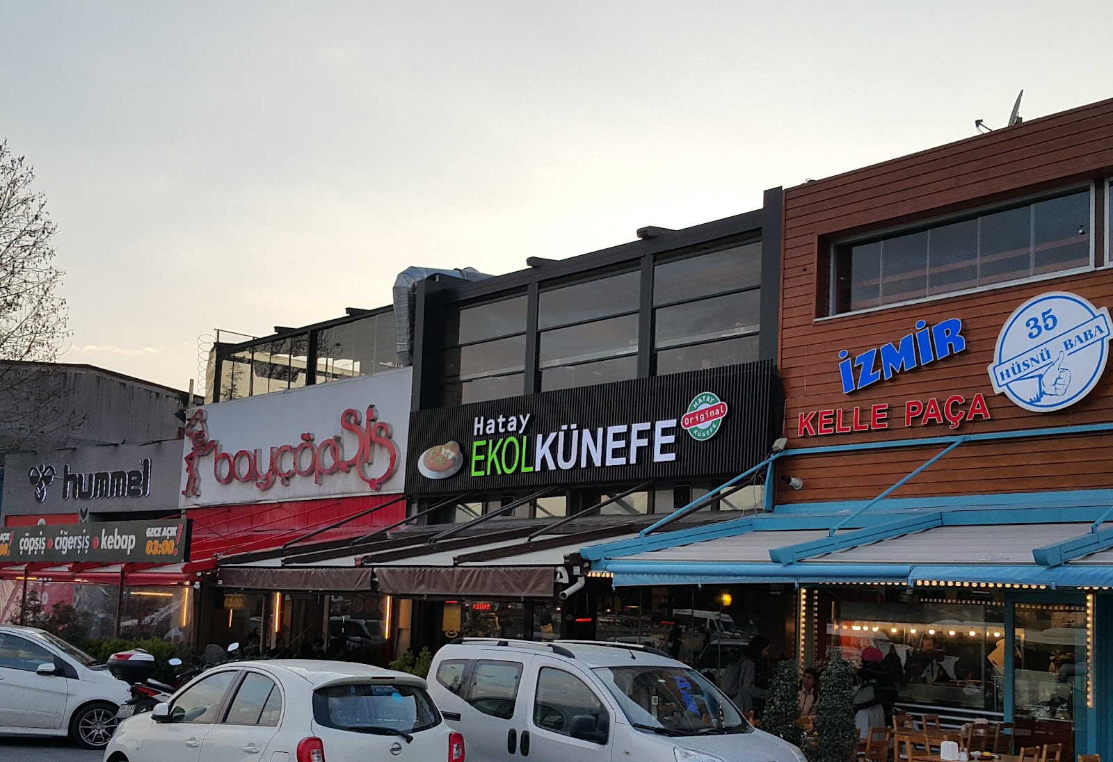 Bayçöpşiş — fotoğraf