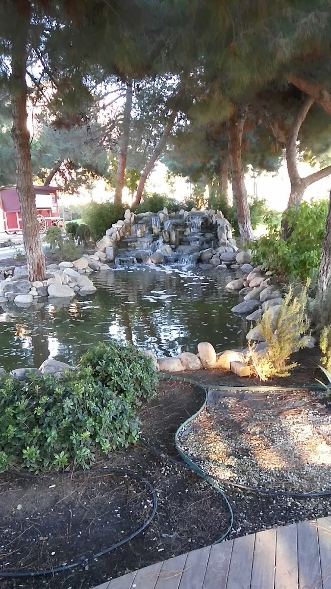 Baykallar Mutlukent Aile Çay Bahçesi — fotoğraf 5