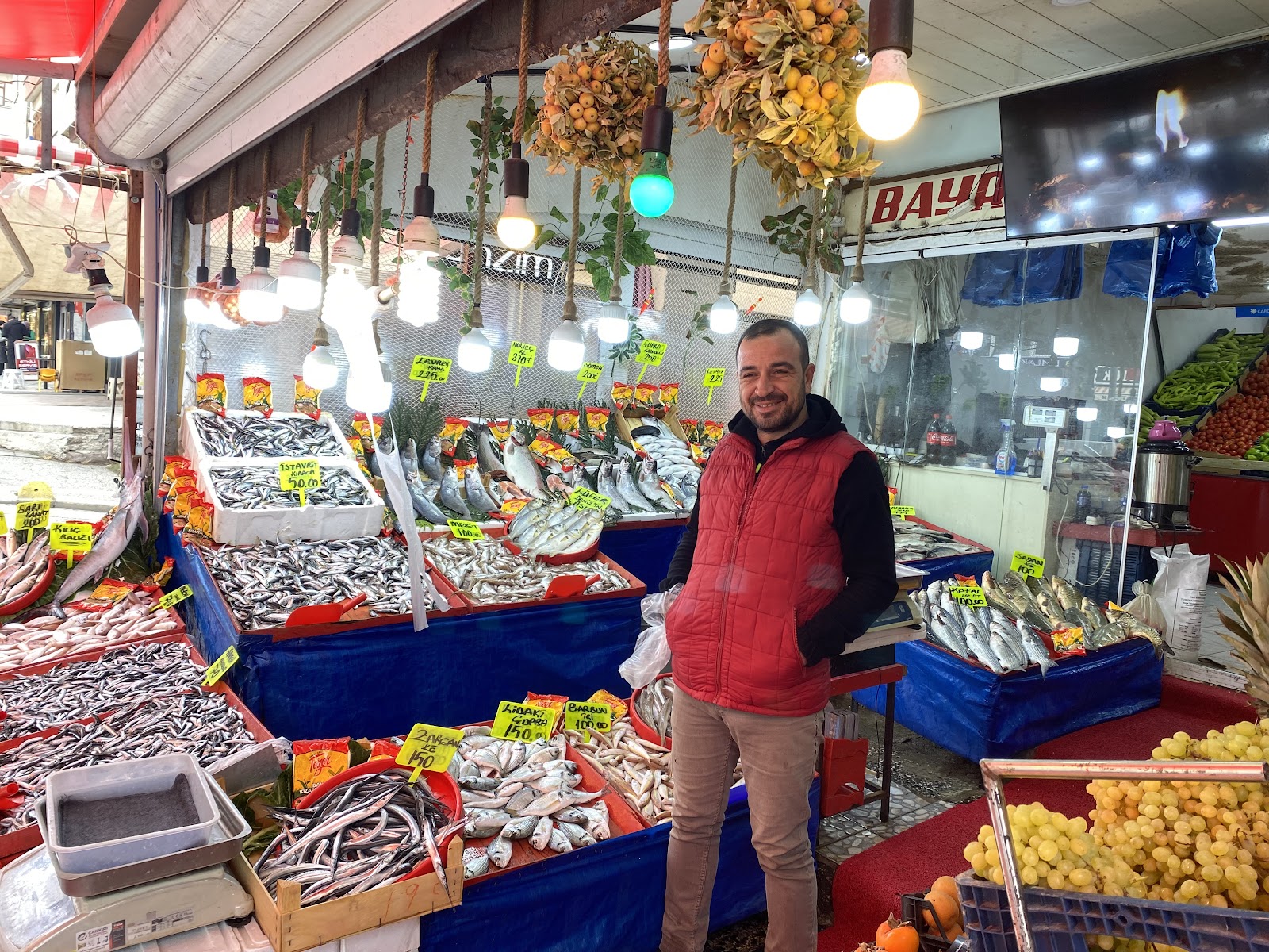 Bayrak manavı — fotoğraf 2