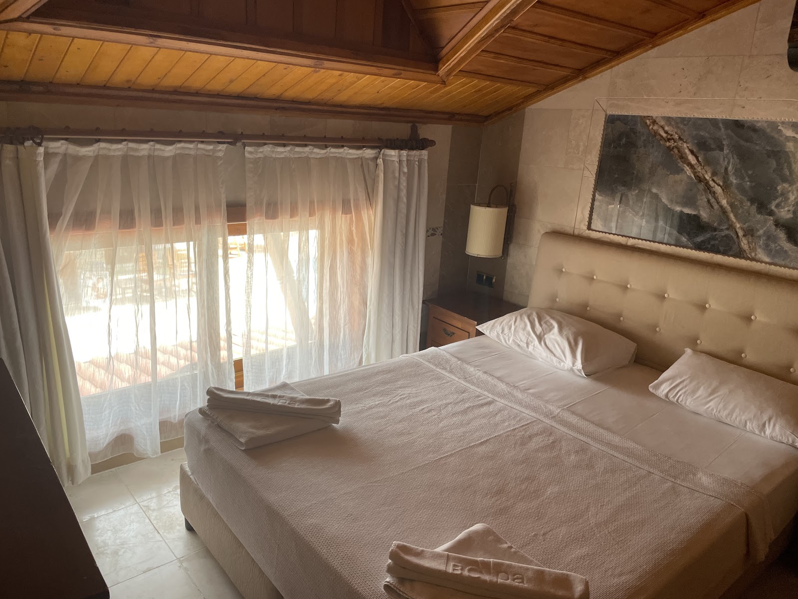 BC Spa Hotel — fotoğraf 4
