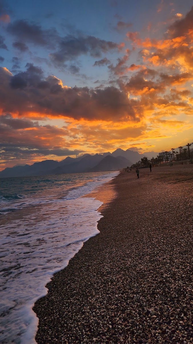Beach Park — fotoğraf 4