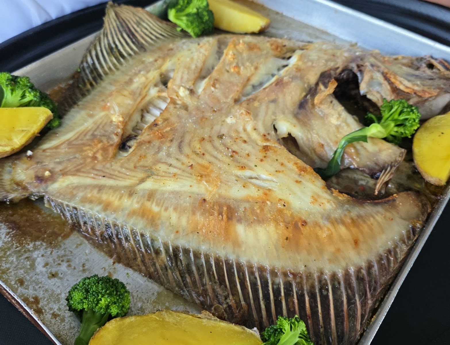 Bebek Balıkçı — photo 5