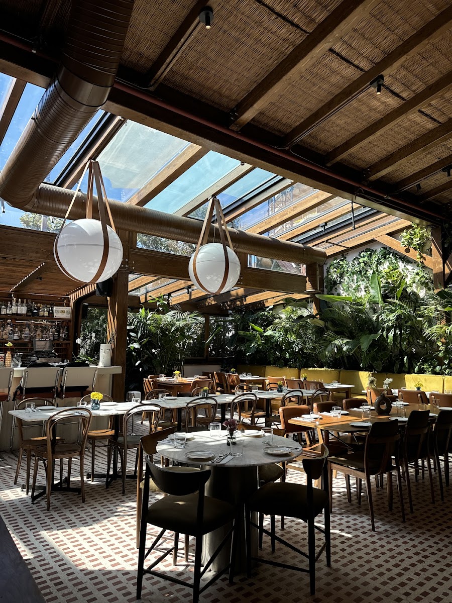 Beca İstanbul — fotoğraf 1