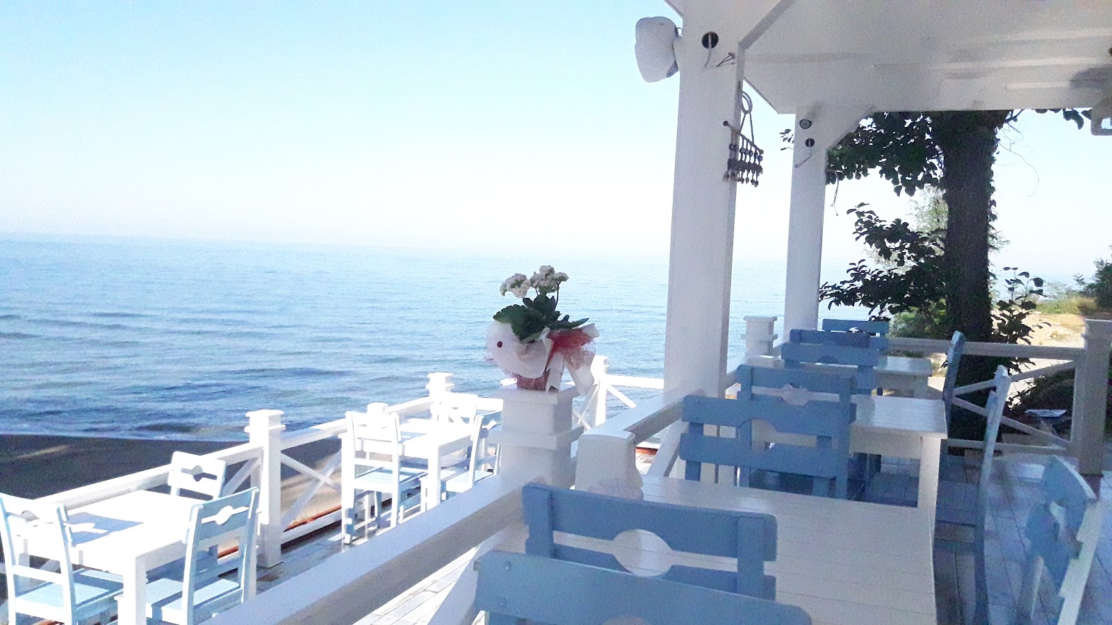 Begonvil Kahvaltı ve Ötesi — fotoğraf 5