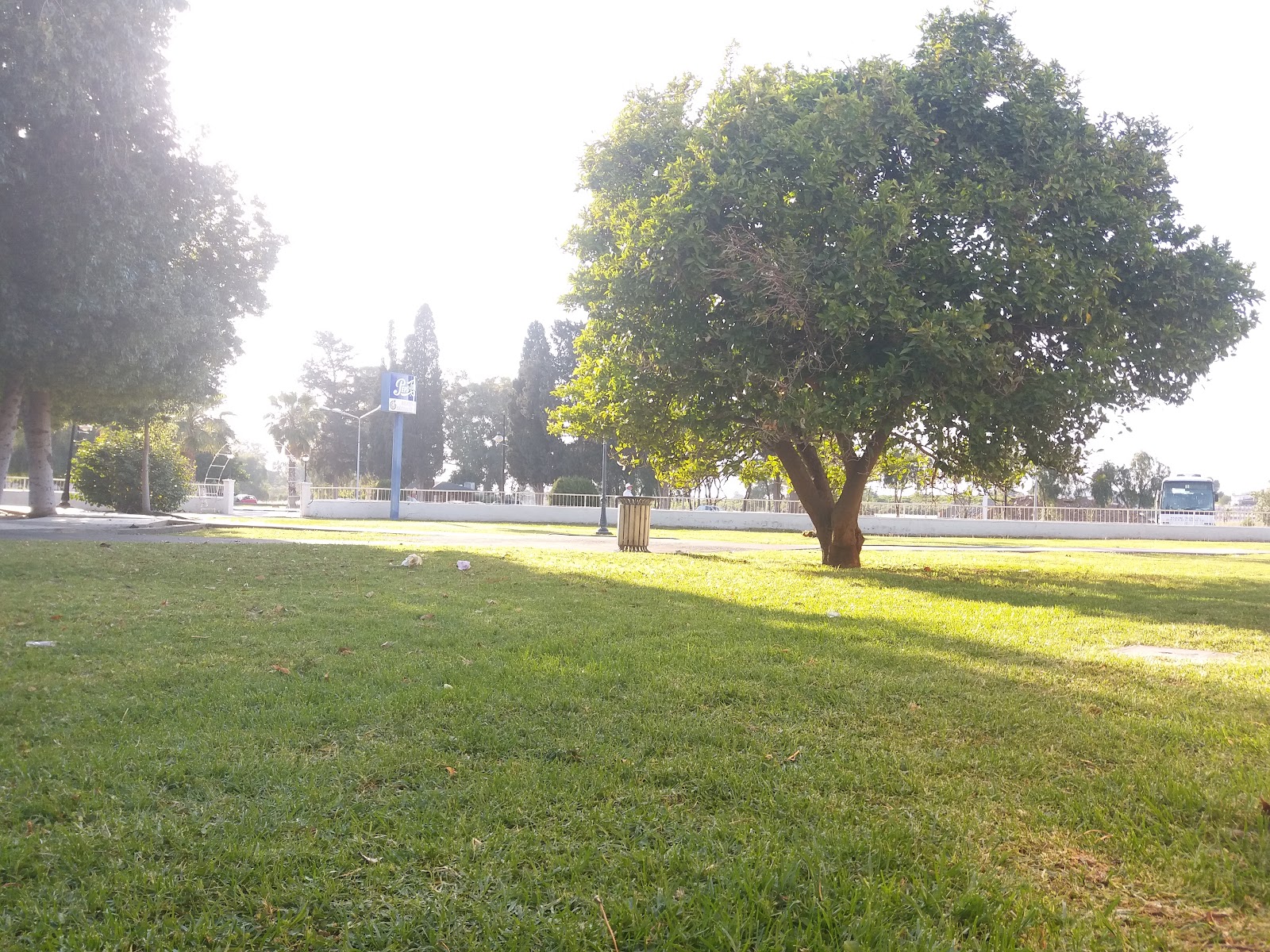 Belediye Düğün Ve Gezi Parkı — photo 3