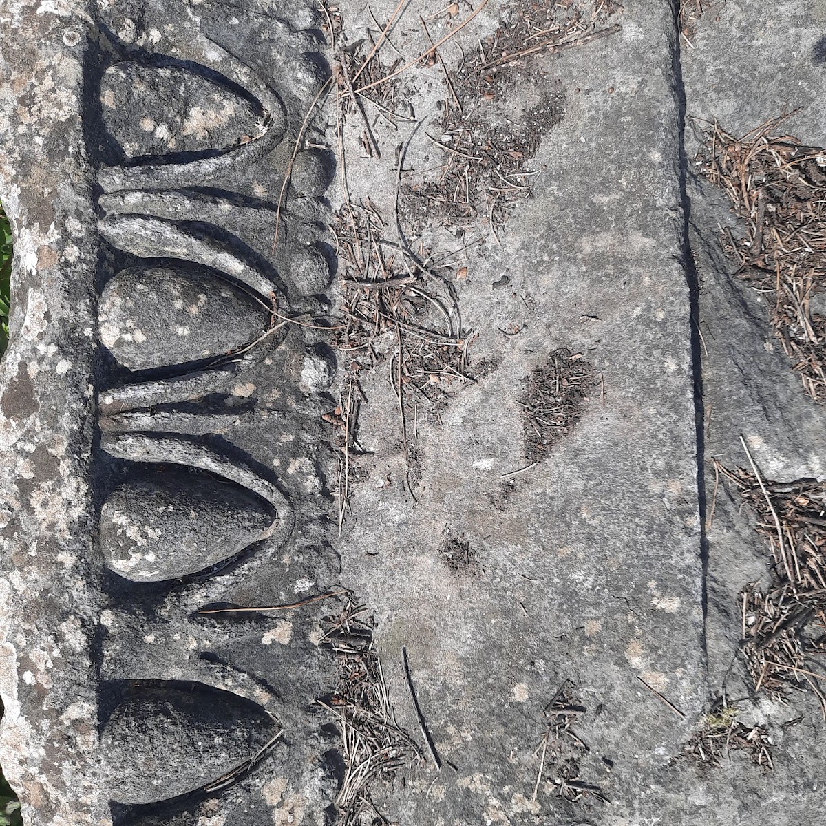 Belevi Anıt Mezarı — fotoğraf 2