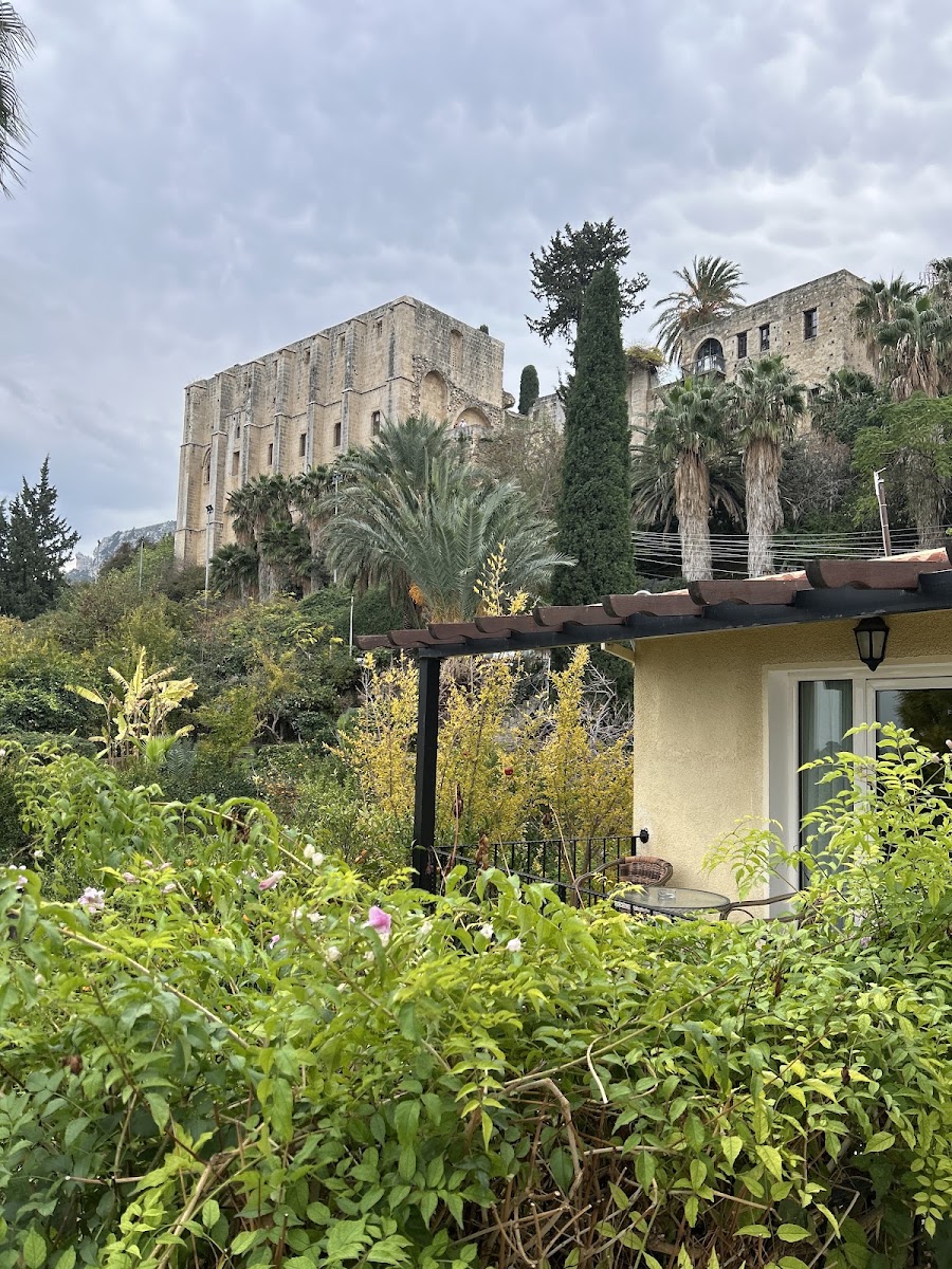 Bellapais Gardens Hotel — photo 3
