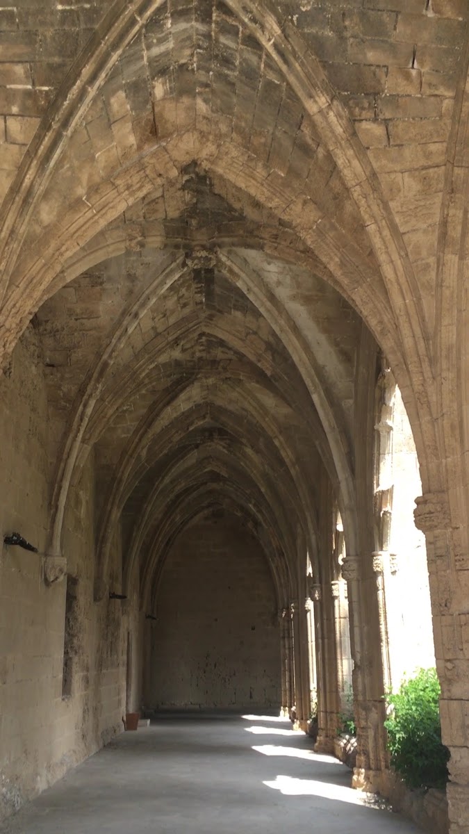 Bellapais Manastırı — fotoğraf 3