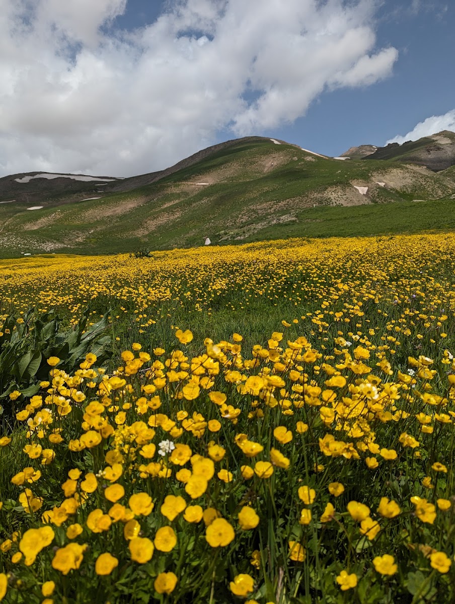 Berçelan Yaylası — fotoğraf 2