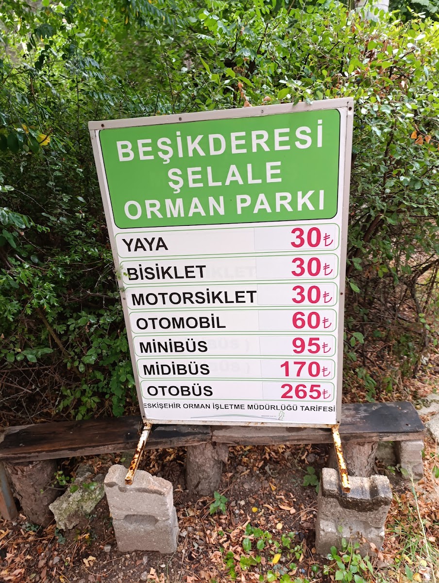 Beşikderesi Şelalesi — fotoğraf 4