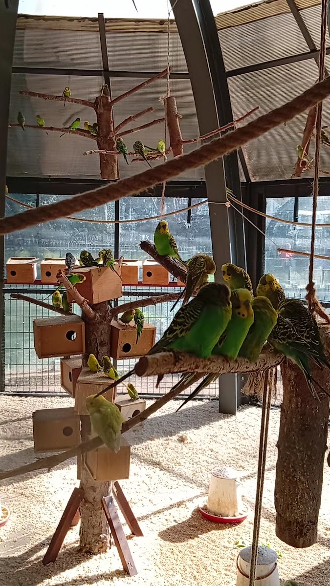 Beşirli EkoPark — fotoğraf 2