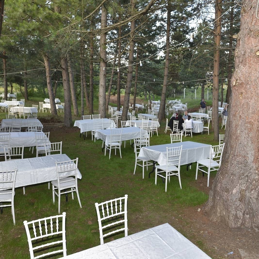 Beştepeler Mesire Alanı — fotoğraf 2