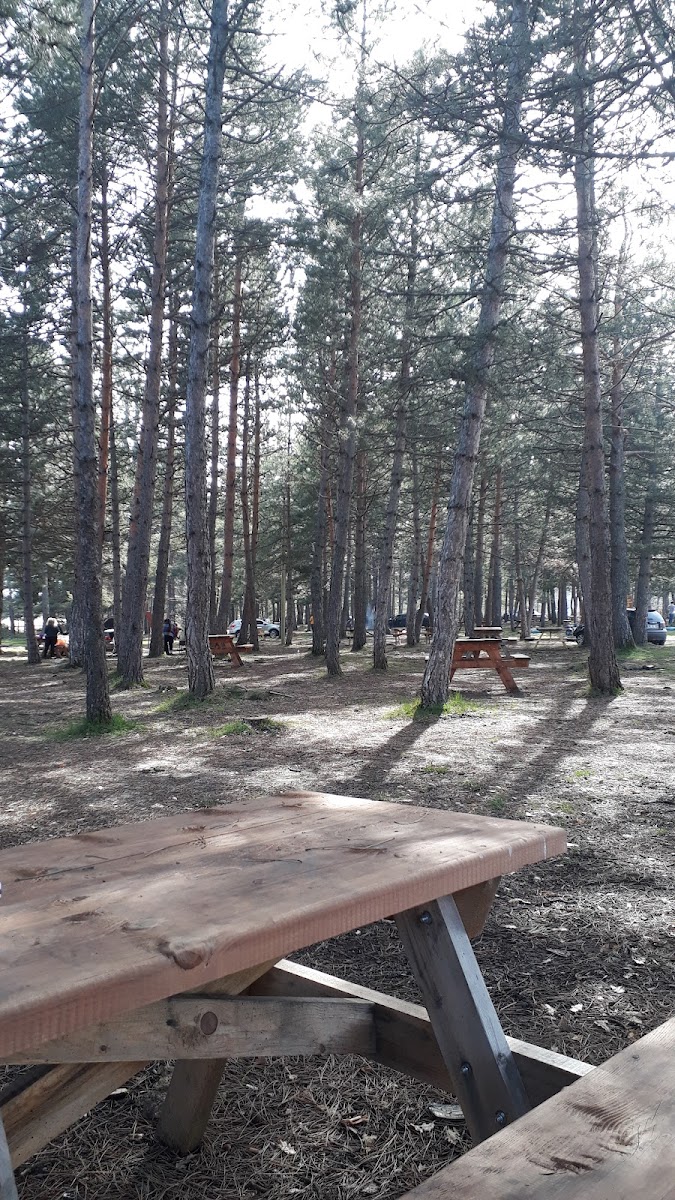 Beştepeler Mesire Alanı — fotoğraf 4