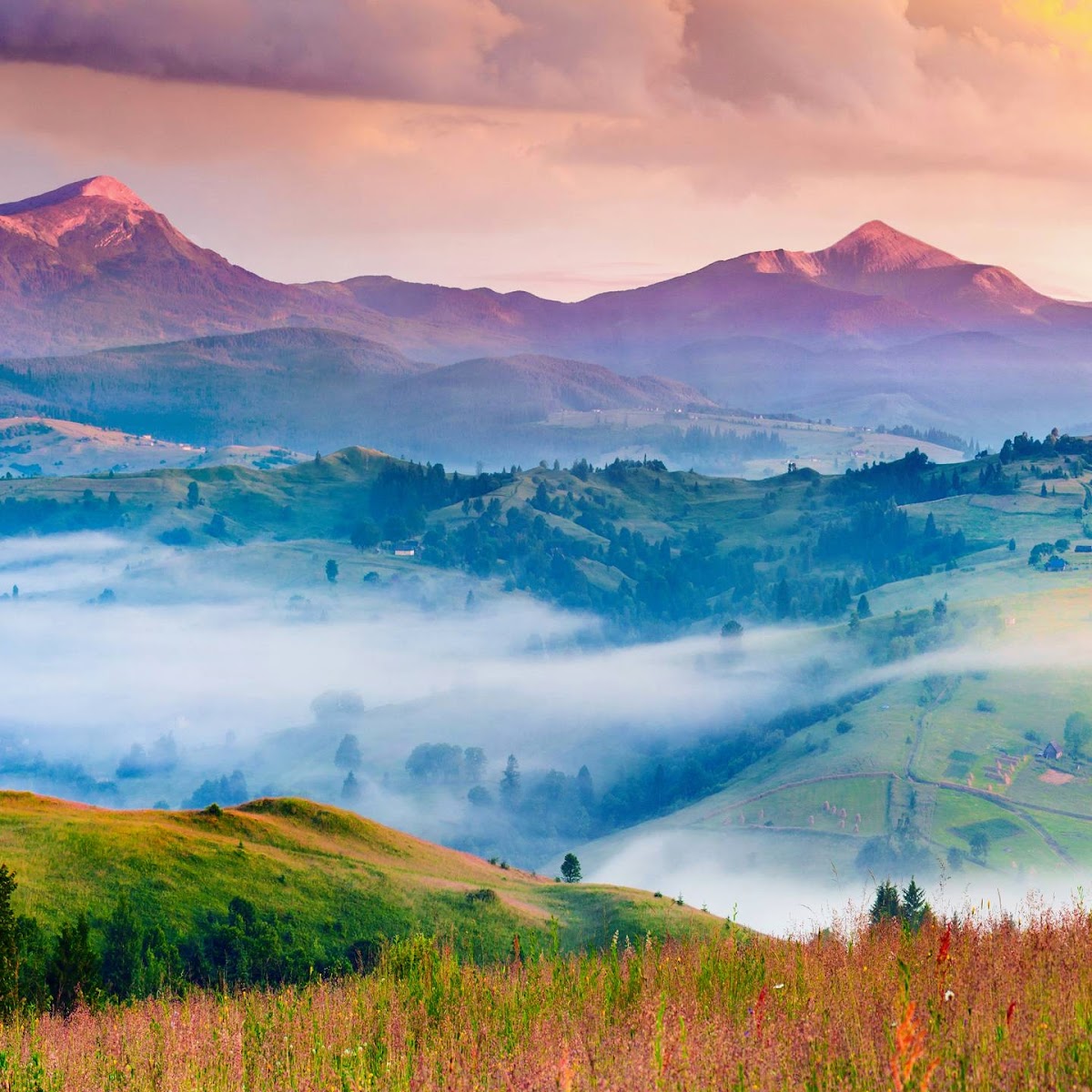 Beyazıt Cami — fotoğraf 5