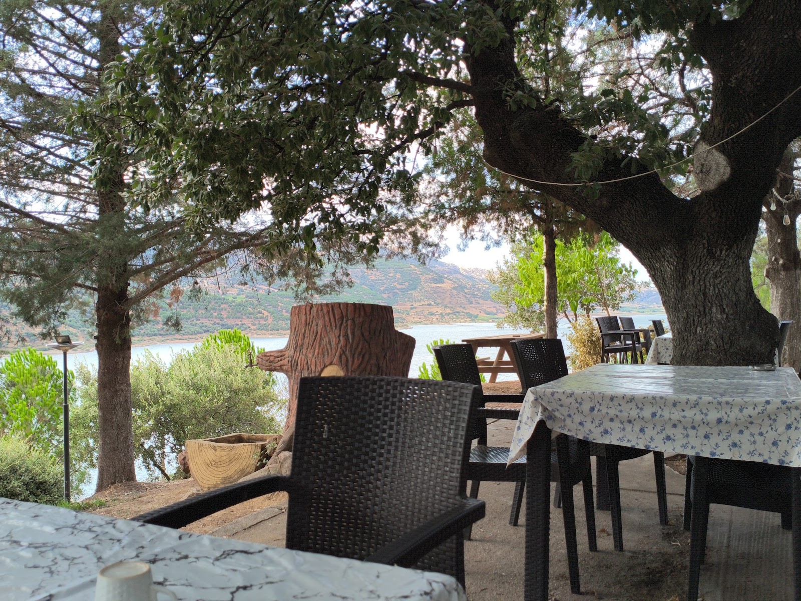 Beydağ Baraj Kır restoran — photo 2
