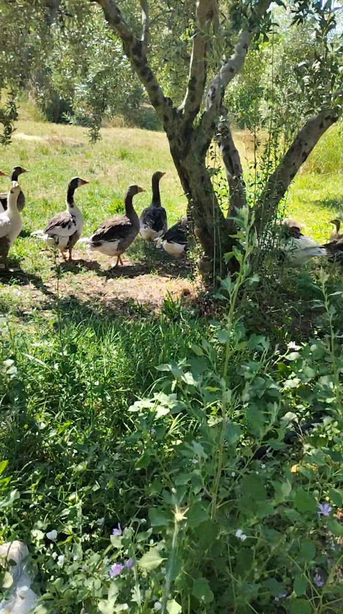 Beydağ Belediyesi Kültür Merkezi ve Konuk Evi — photo 3