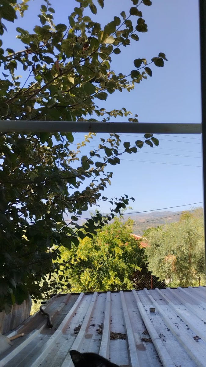 Beydağ Kalesi — photo 2