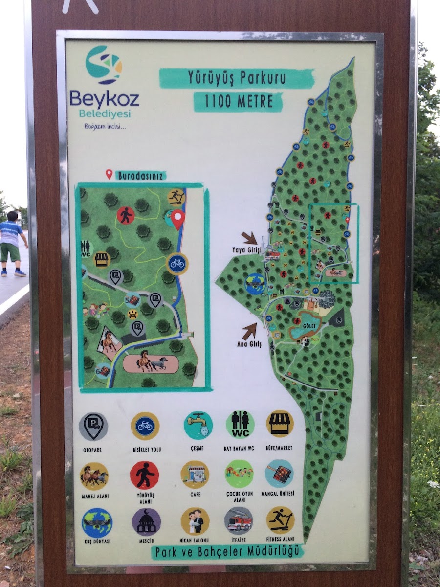 Beykoz Spor Ormanı — fotoğraf 4