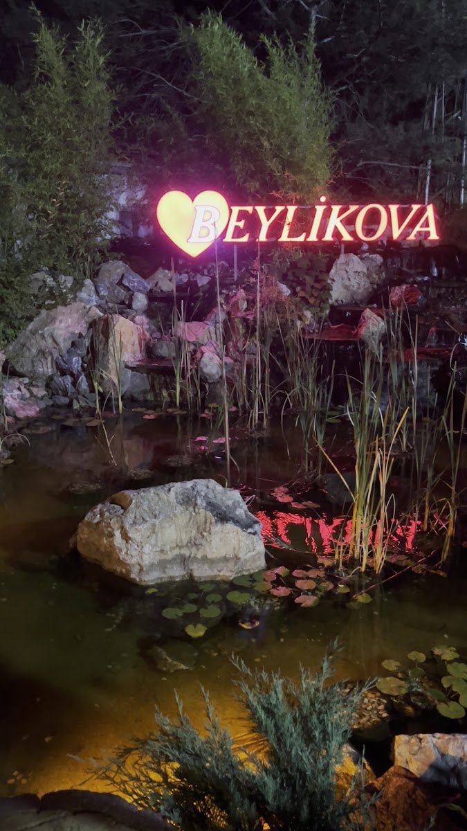 BEYLİKOVA SOSYAL TESİSLERİ — photo 3
