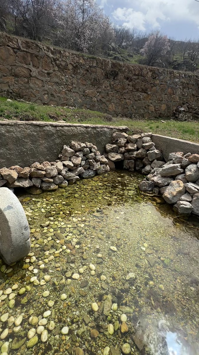 Beypinari Balik Restorant — fotoğraf 2