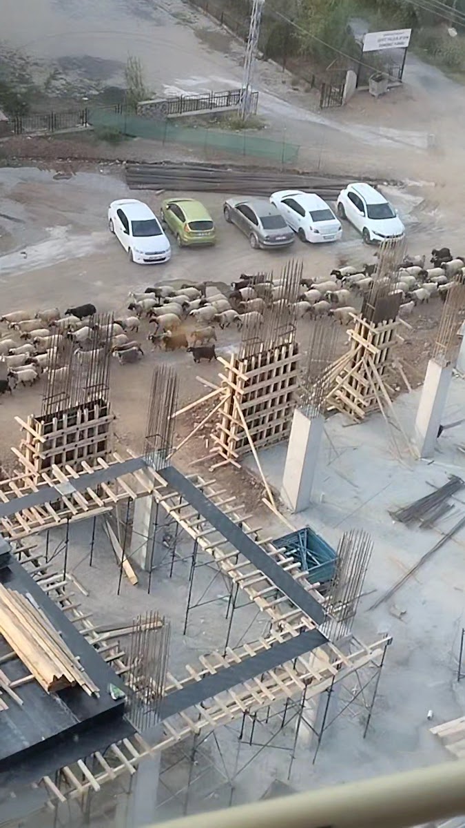 Beytüşşebap Öğretmenevi — photo 3