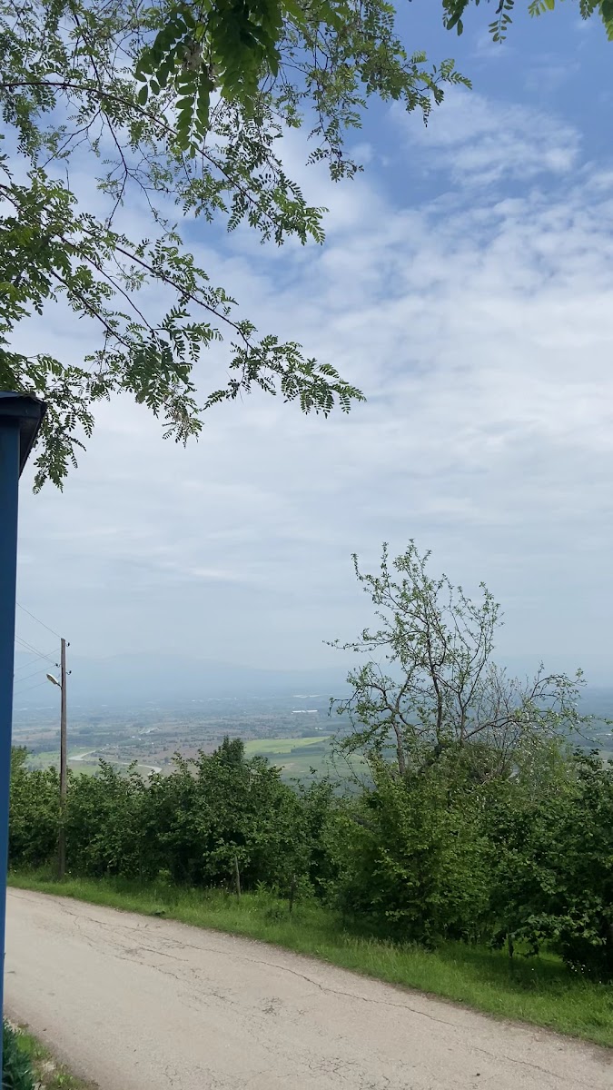 BiBi'nin Yeri — fotoğraf 3